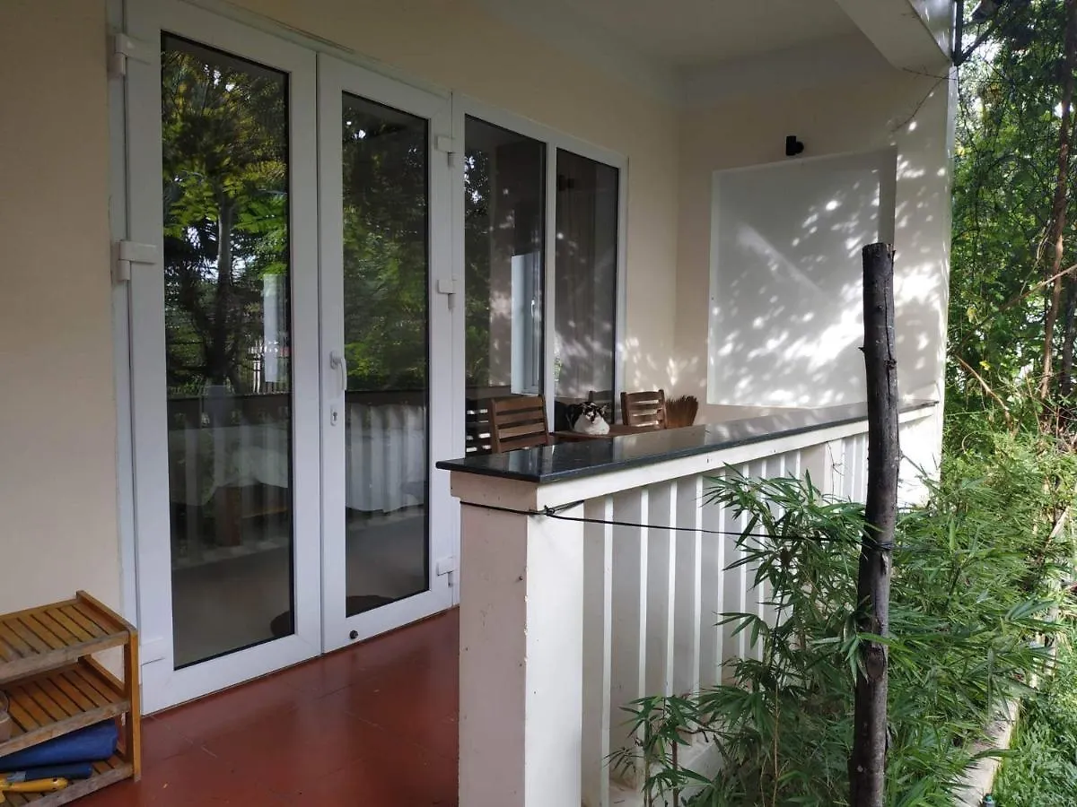 Nguyen Duy Homestay Hoi An Vietnam