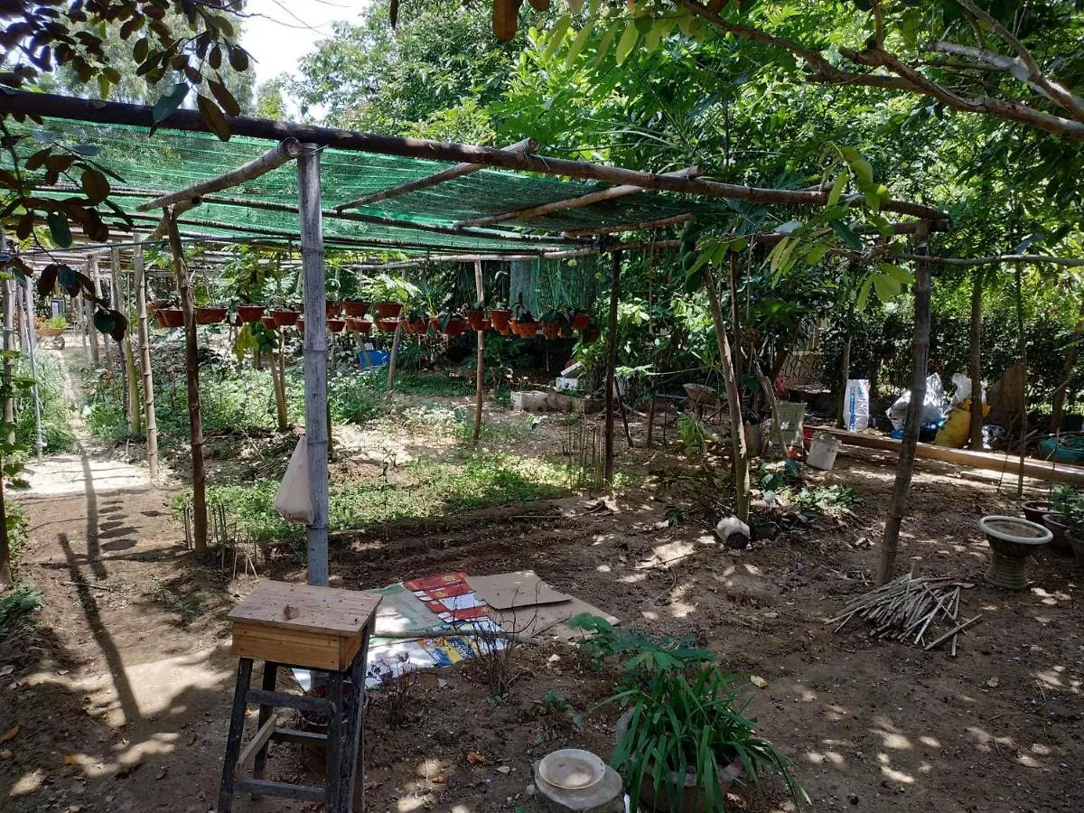 Gæstehus Nguyen Duy Homestay Hoi An