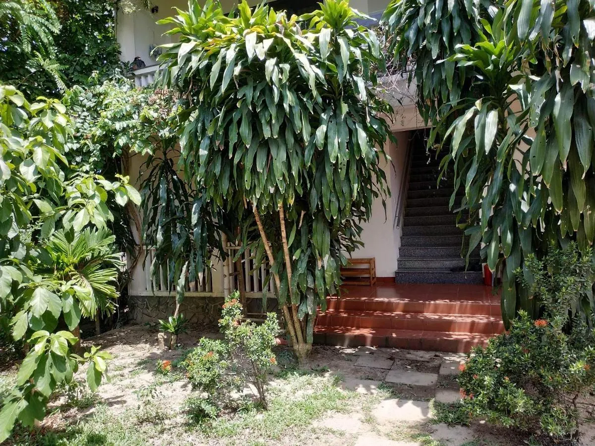 Nguyen Duy Homestay Hoi An Guest house